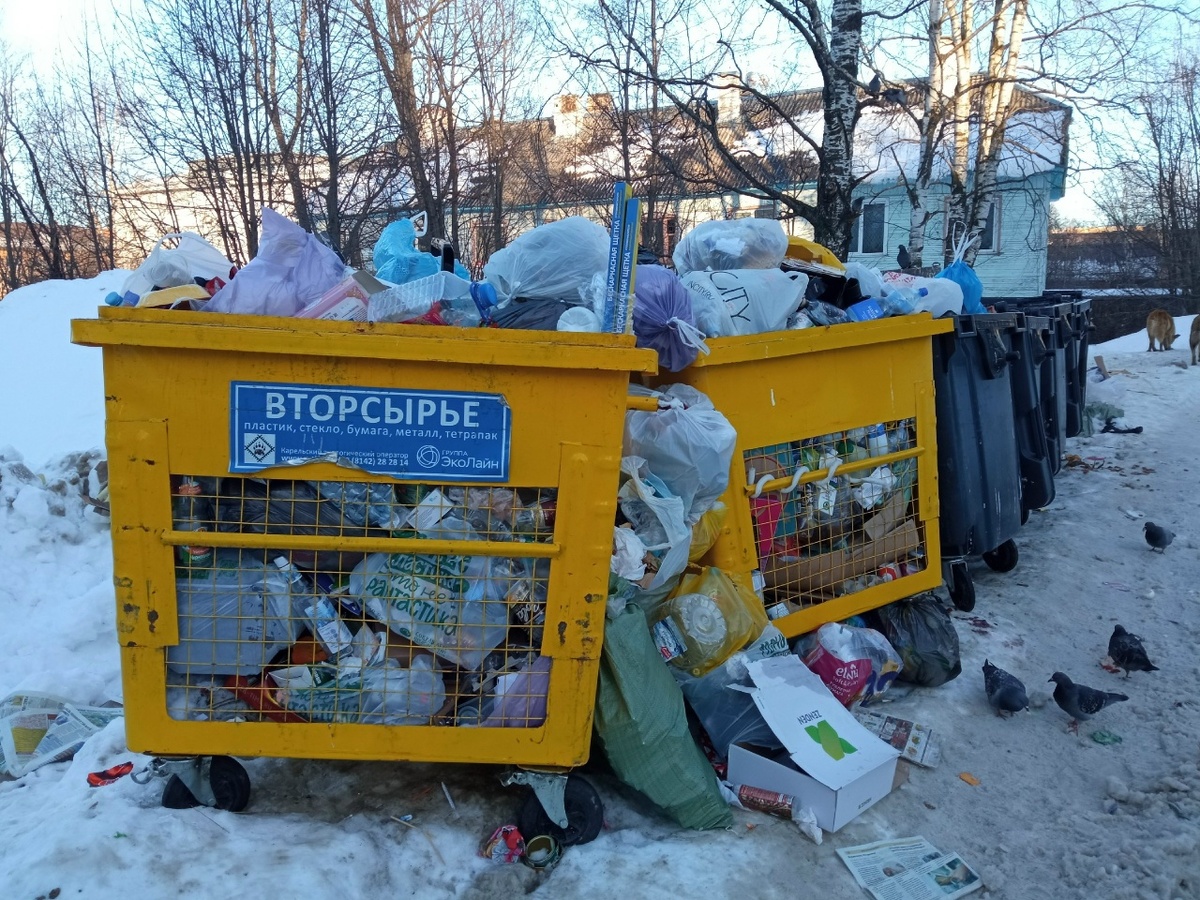    фото: © Столица на Онего