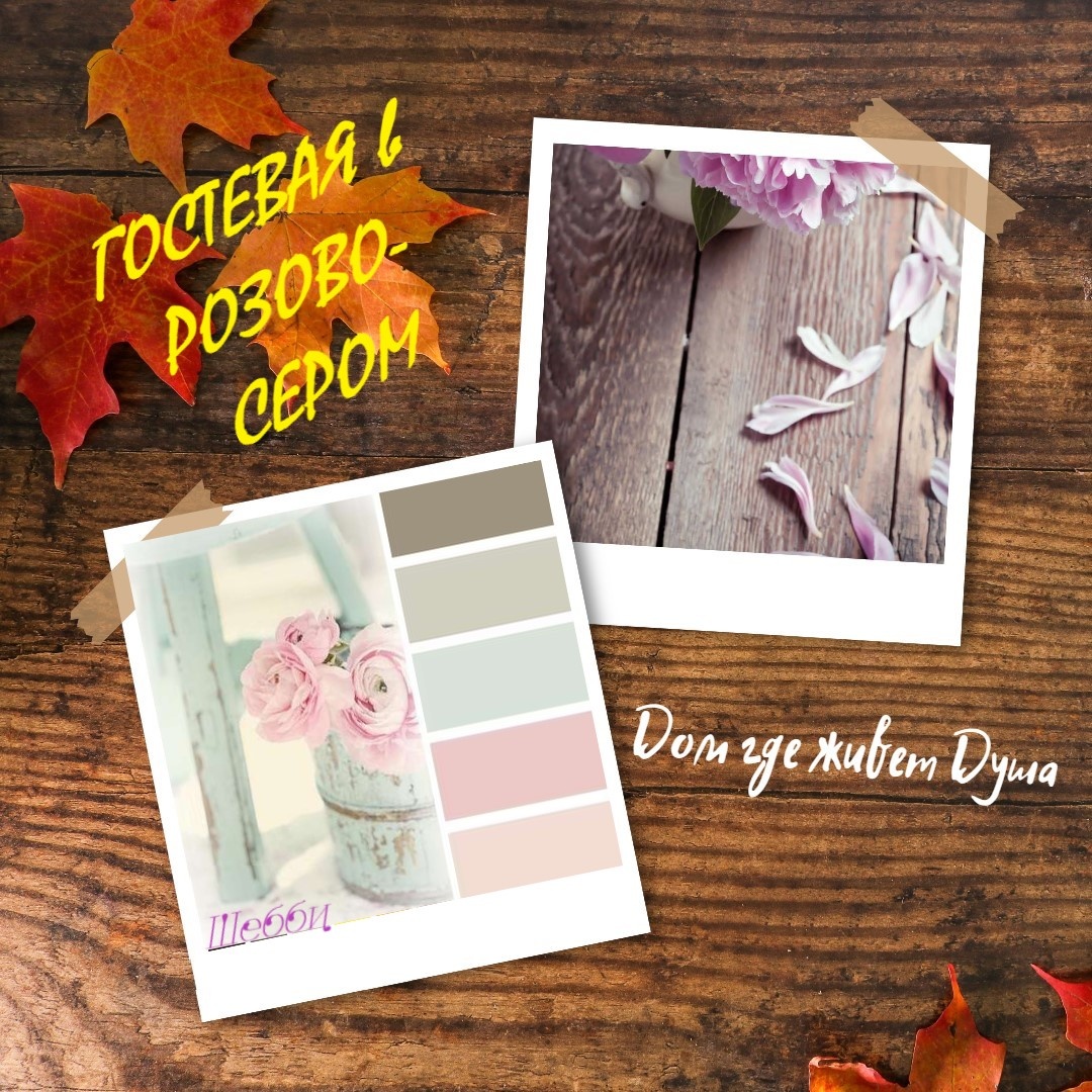 Шебби-моя любовь