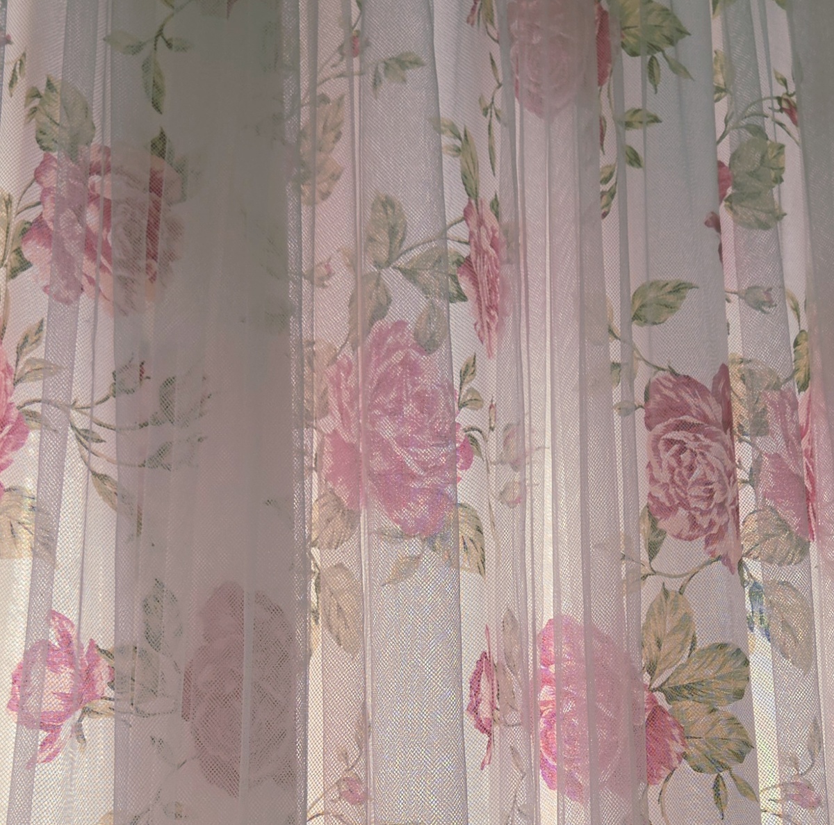 Розы под вуалью