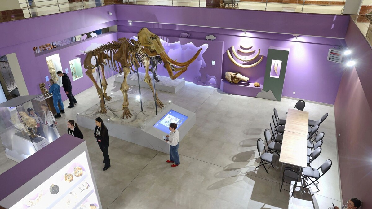    Фото: Андрей Ткачев/«Ямал-Медиа»