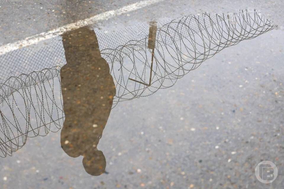    Фото: Дмитрий Рогулин / "Городские вести"