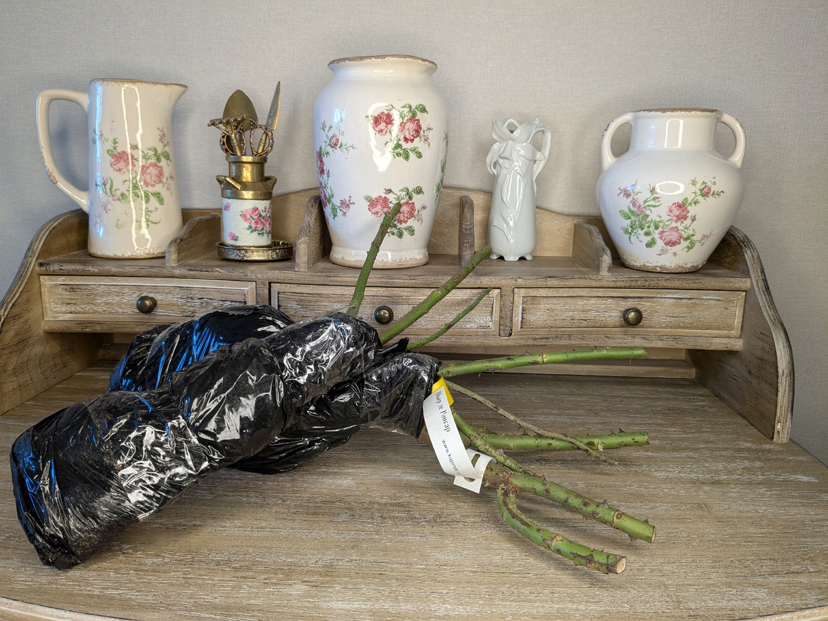 Неужели дожили до такого, что розы можн купить "без шума и пыли"?