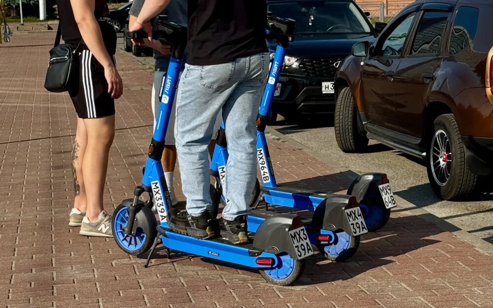    Фото: "Брянские новости"