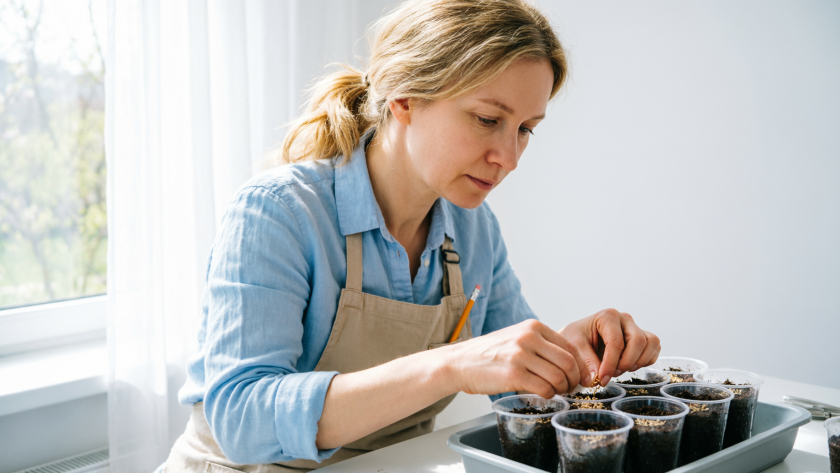    Создано нейросетями