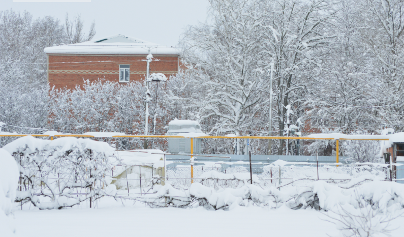 Фото автора. Январь 2026. Станица. Зимняя сказка.