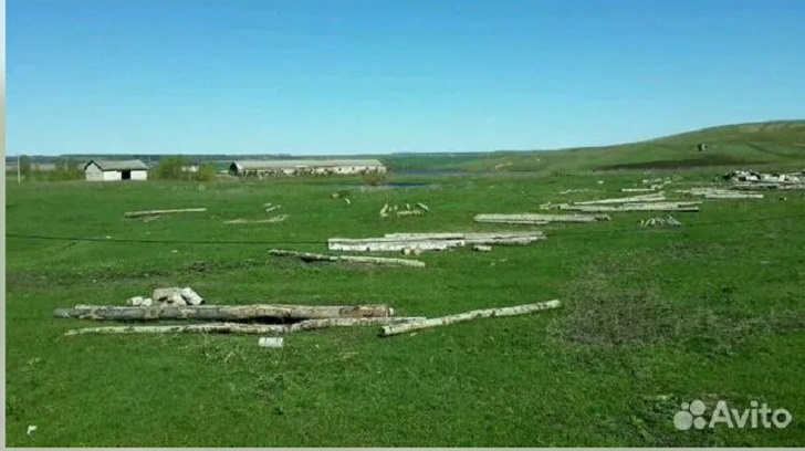    Фото: Авито