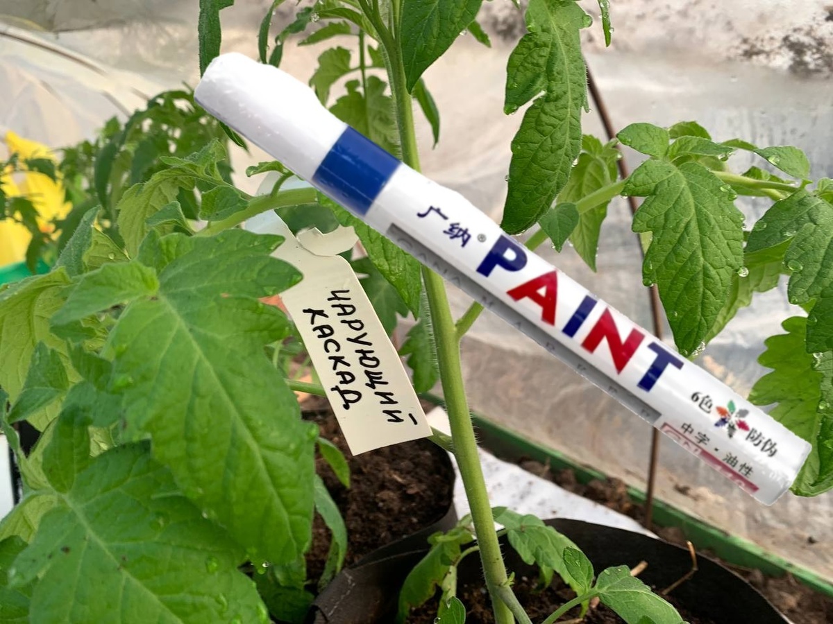 Строительный маркер на масляной основе не выгорает. Фото автора