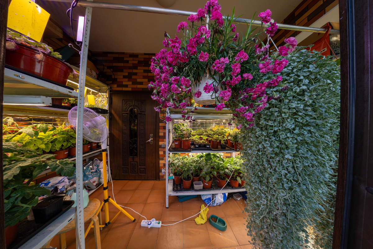 24 марта 2026 года