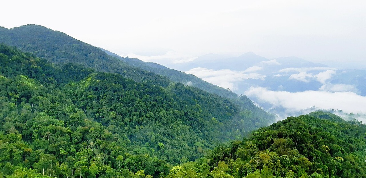 Автор фото: Taha Akbari. Источник: Wikimedia