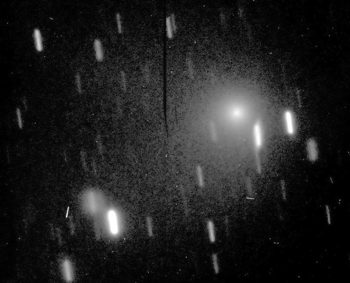    Комета P/2010 H2 (Валес) 6 июня 2010 года / © Richard Miles