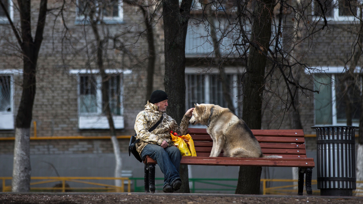    Россия Москва весна прогулка собака АР