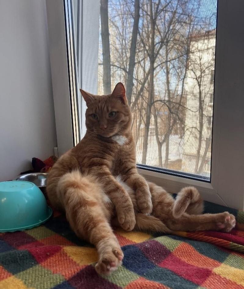    «Коляда-театр. Жебайка