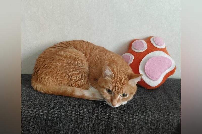    «Коляда-театр». Сысойка