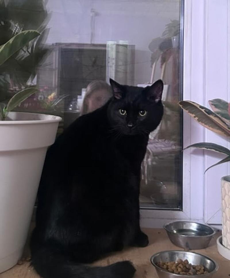    «Коляда-театр». Балалайка