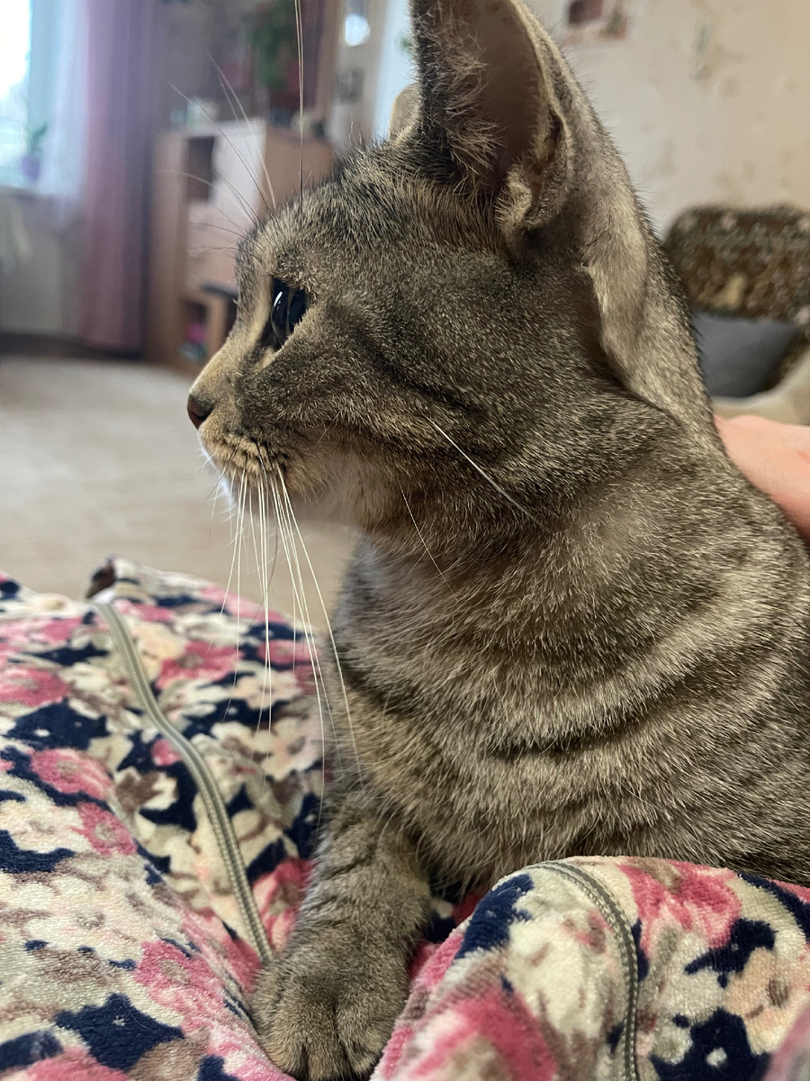 Ласковый мальчик 😻