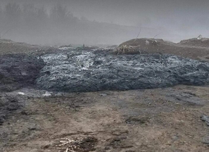    Фото: Росприроднадзора РФ