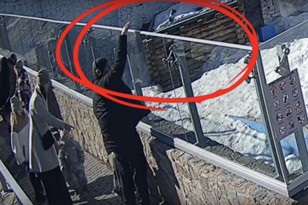 Кадр из видео/Челябинский зоопарк/VK   📷