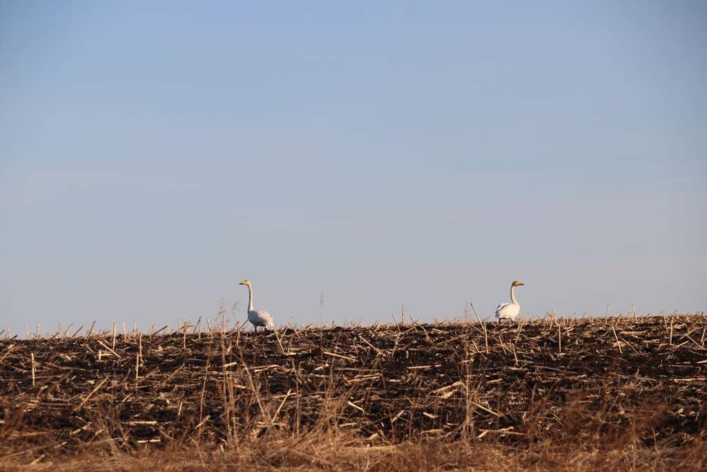    Фото Анны Сентяковой