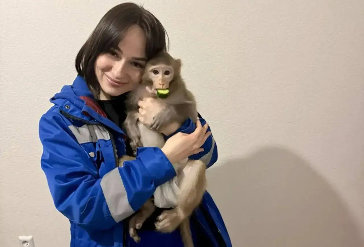 фото: Пресс-служба Ленинградской области