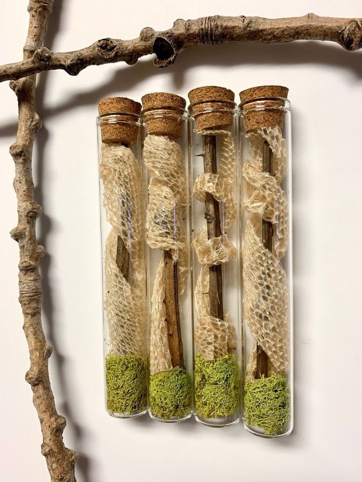 взято с просторов Pinterest