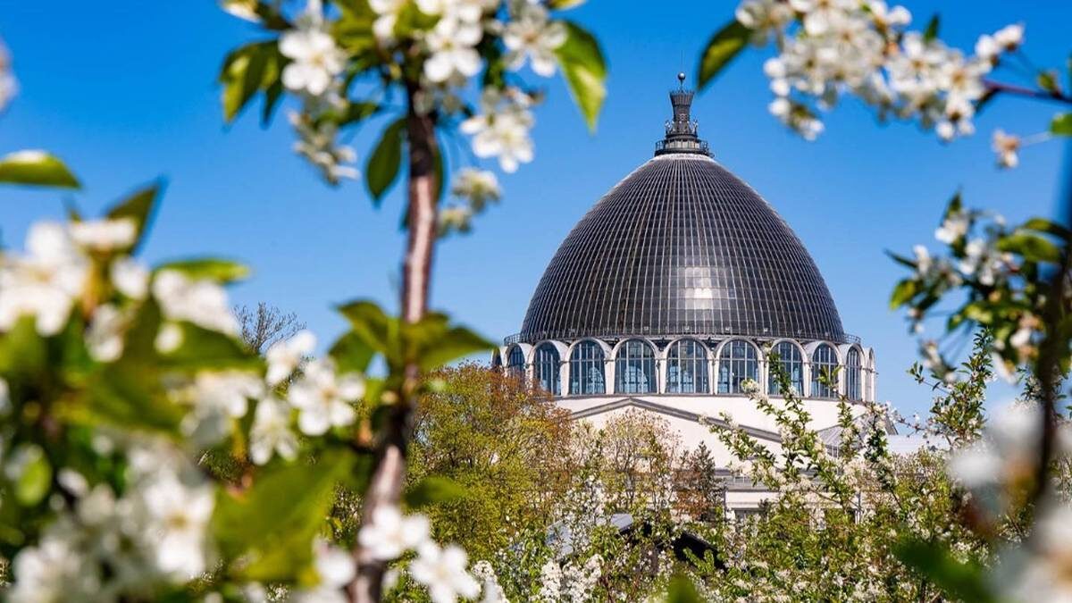    Фото: Пресс-служба ВДНХ