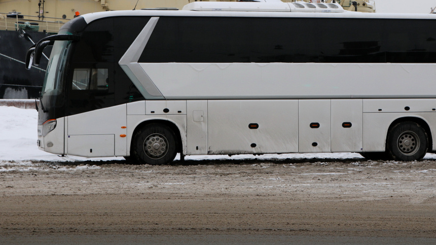    Фото: www.globallookpress.com/Maksim Konstantinov; 5-tv.ru