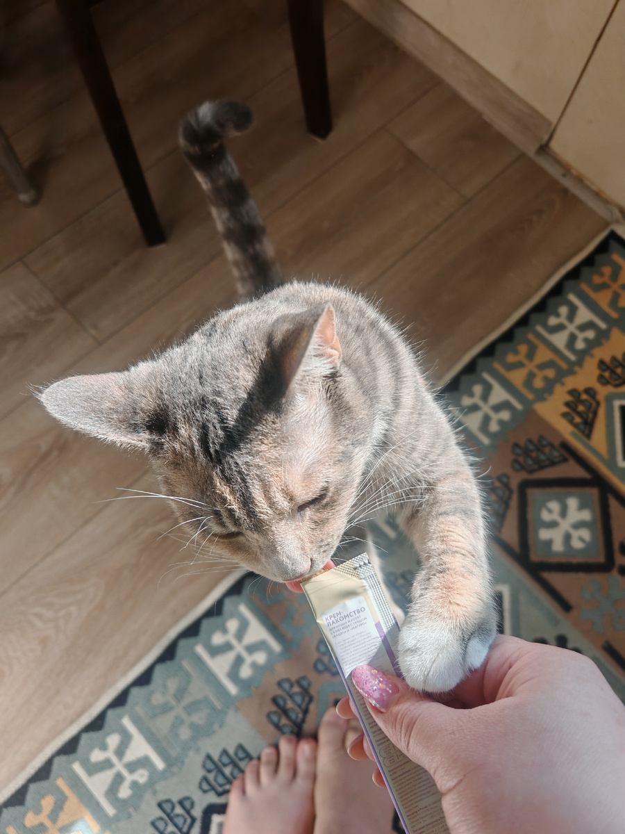 Добилась своего