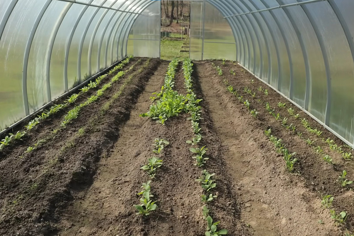 Скриншот видео