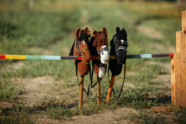 Ala Skazava/Shutterstock/FOTODOM   📷