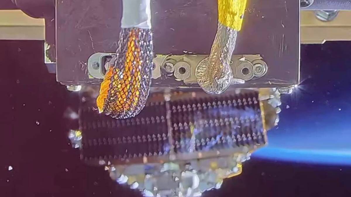    Фото: Компания «Бюро 1440»