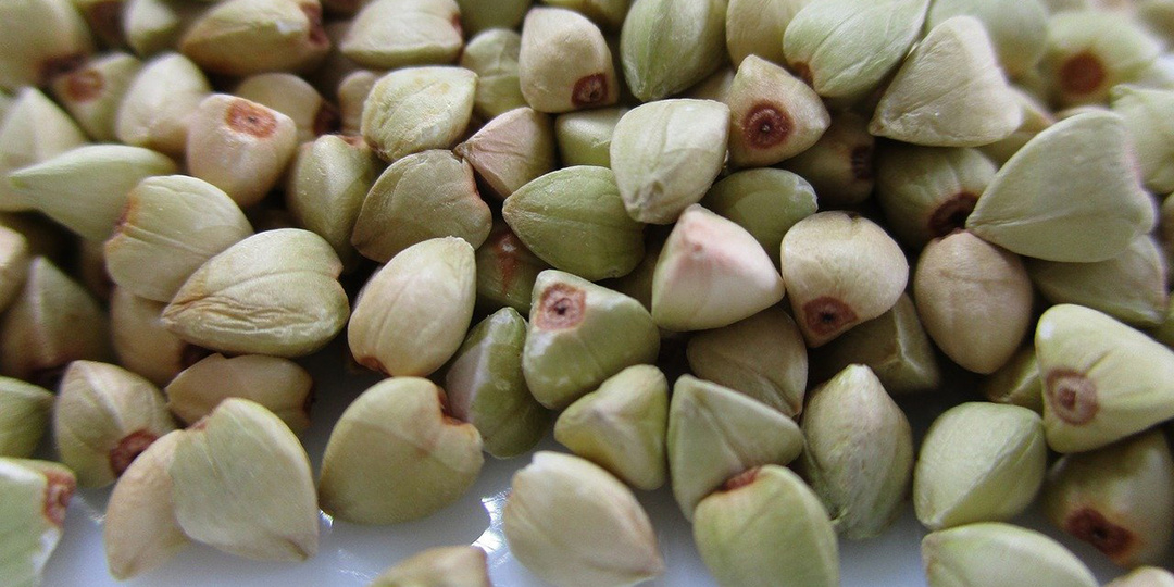 Большое количество рутина, растительного белка, витаминов группы В. В чем польза каши из зеленой гречки