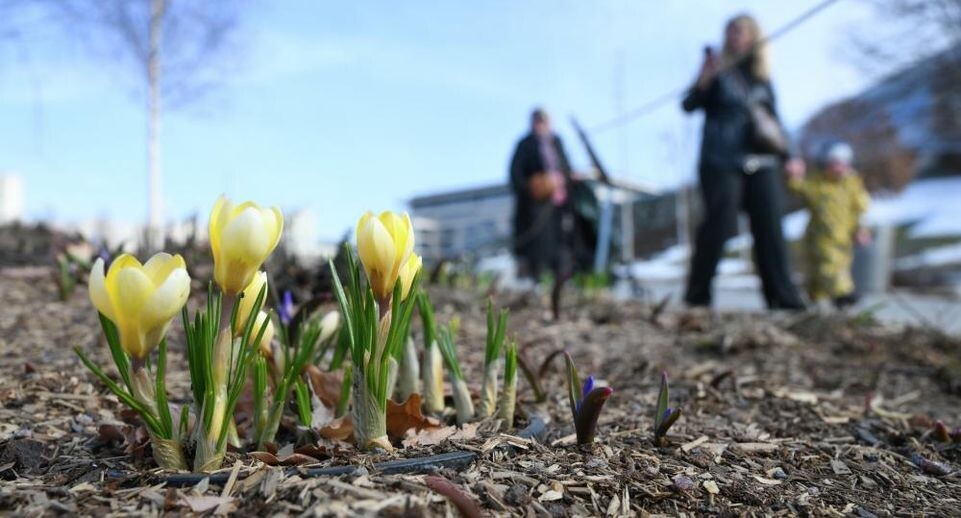    РИА «Новости»