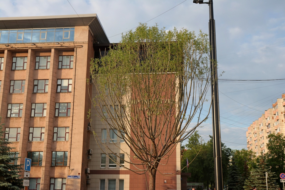    © Максим Артамонов