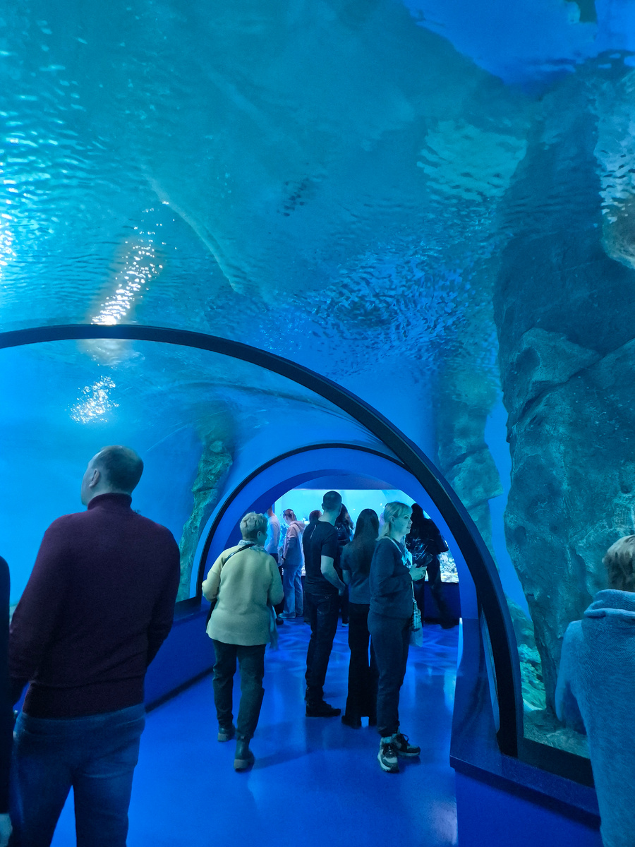 Внутри тоннеля