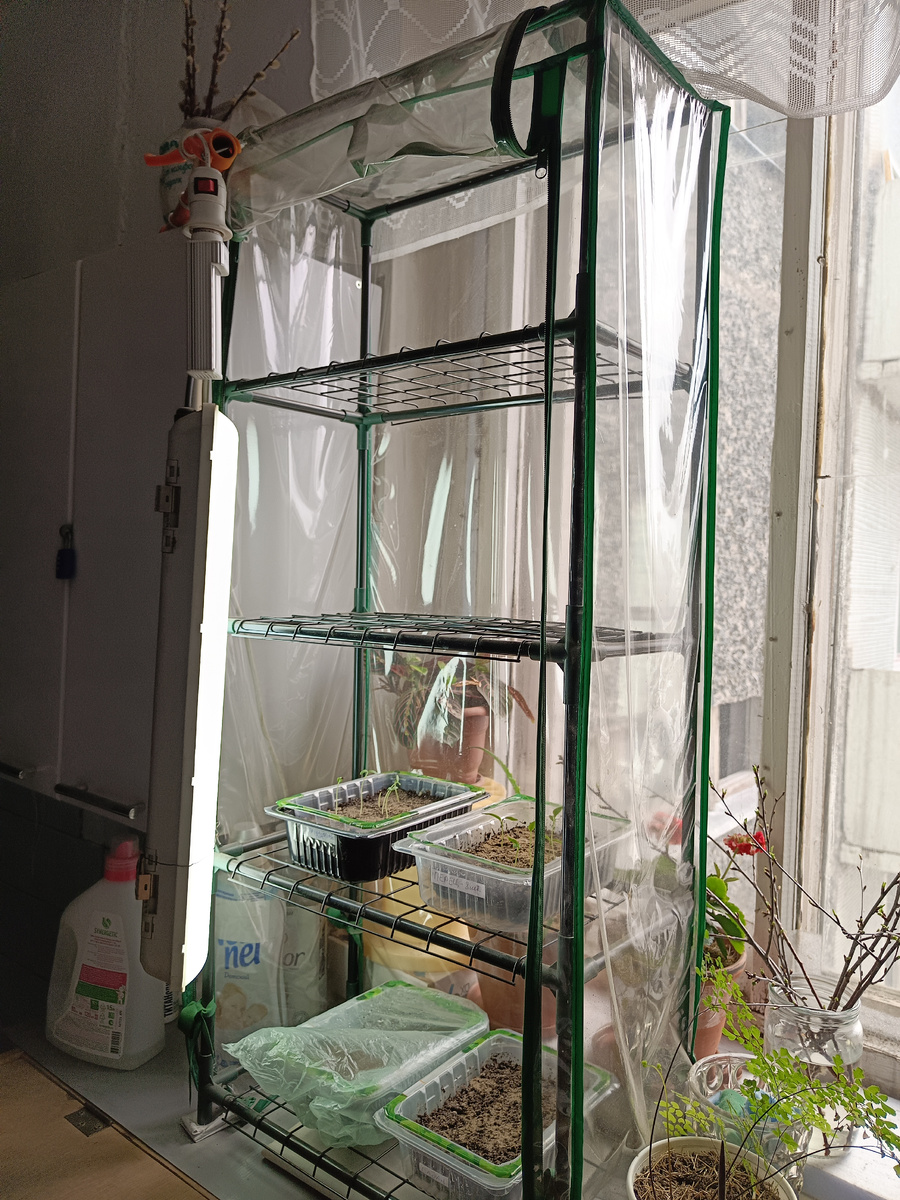 Мини-тепличка для рассады / –>