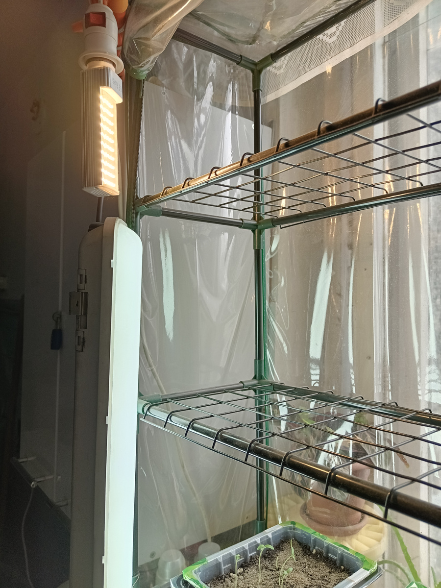 Подсветка теплички