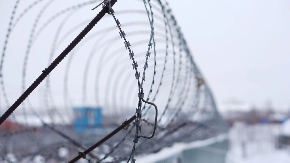    Фото: Юлия Чудинова/«Ямал-Медиа»