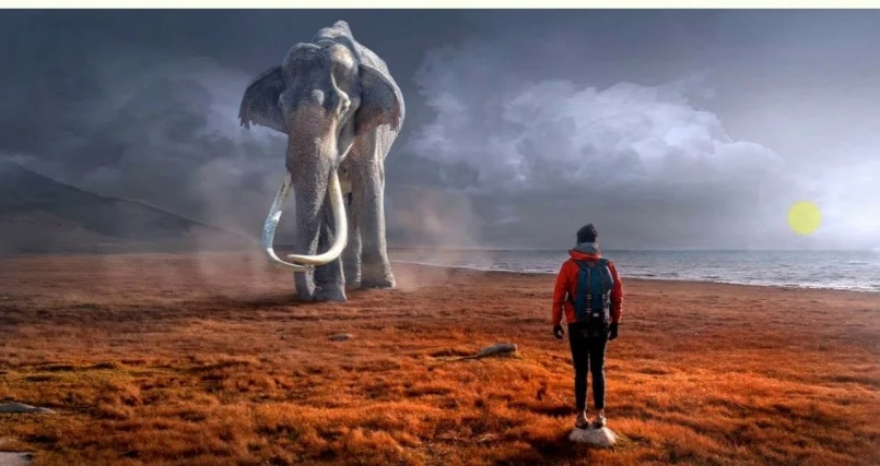 Наше тело совершенно не приспособлено к жизни на Земле, мы с другой планеты?