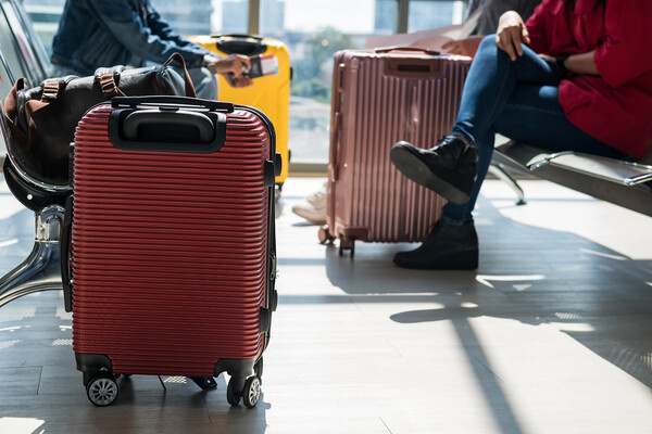 Shutterstock/FOTODOM   📷