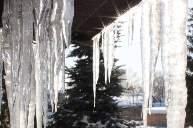    Фото: АиФ/ Евгения Гаева