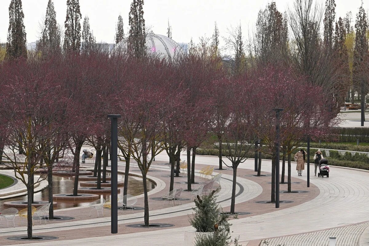    Фото t.me/parkkrd