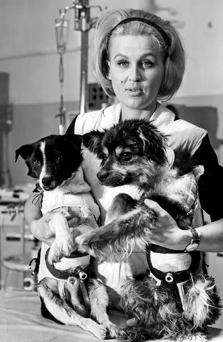 Ветерок и Уголёк.