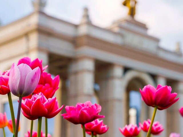    Фото: пресс-служба ВДНХ