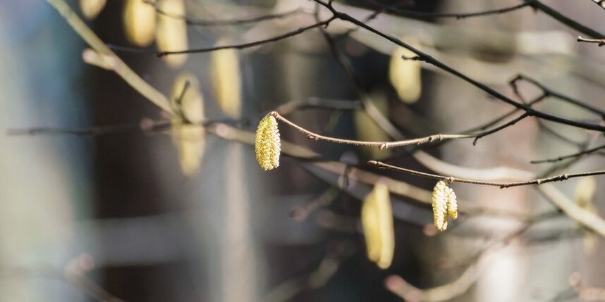    Алёна Бобрович