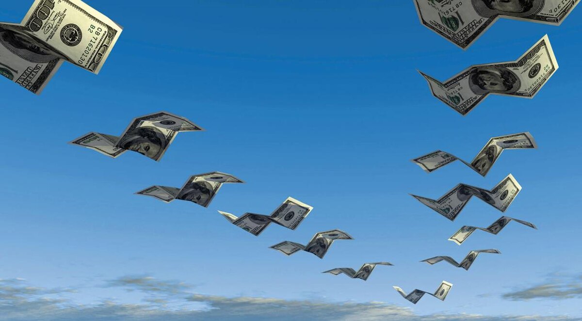 Вчера купила индоуток, а они исчезли, улетели потраченные на них деньги