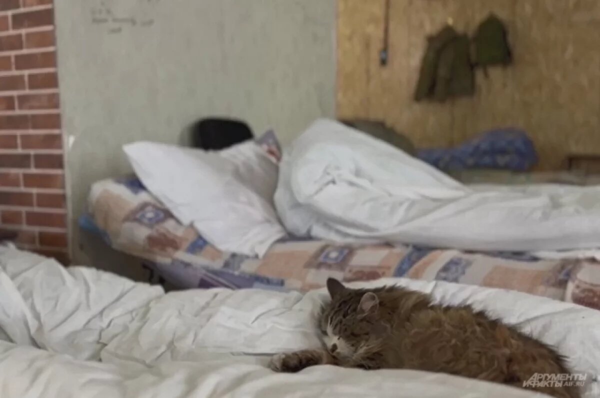    Сбор помощи организован после взрыва в жилом доме в Севастополе