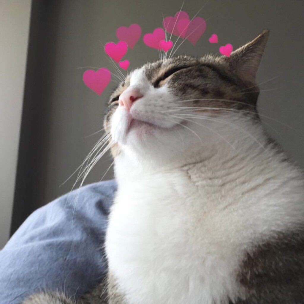 -Только один ты, хозяин, меня и понимаешь!