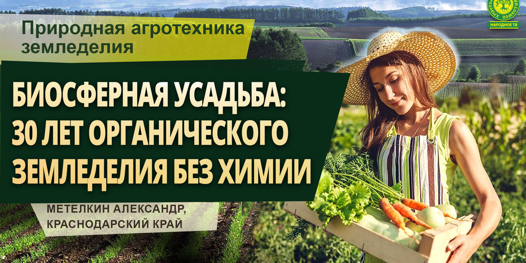 Биосферная усадьба: 30 лет органического земледелия без химии