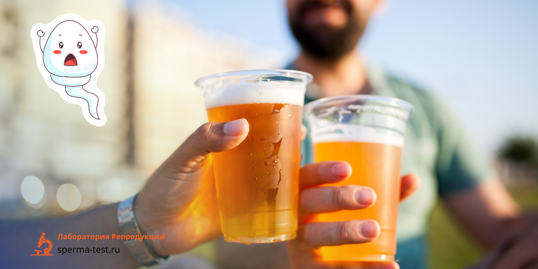 Почему пиво может влиять на качество спермы и что с этим делать
