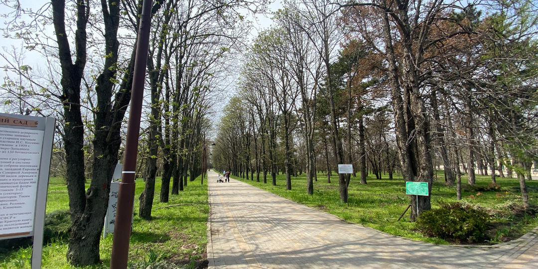 Квартиры в Краснодаре дорожают, а в других регионах растут быстрее: зачем перезжать в край с минимальным приростом?